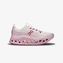 CLOUDSURFER MAX 1 W