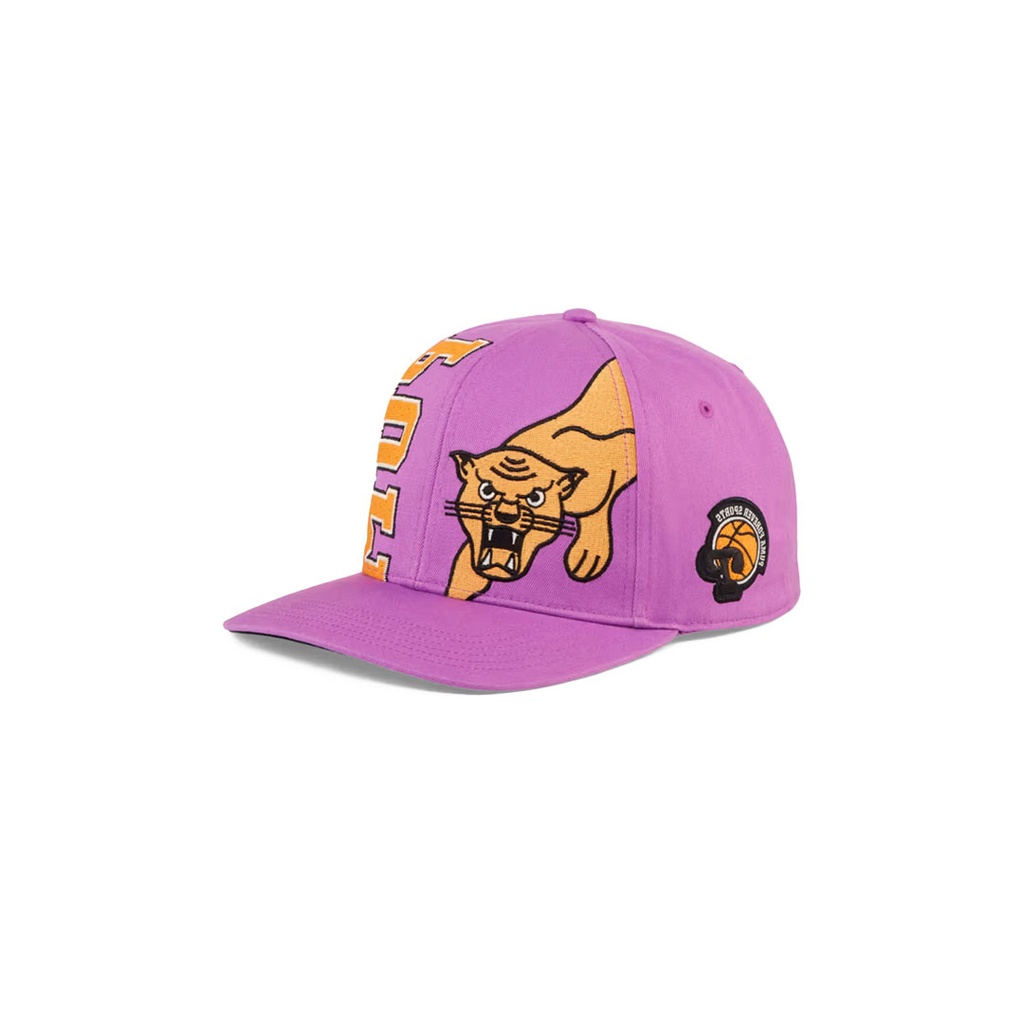 HOMETOWN HEROES LOW CURVE BB CAP