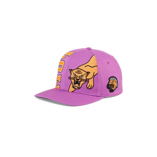 [PM794] HOMETOWN HEROES LOW CURVE BB CAP