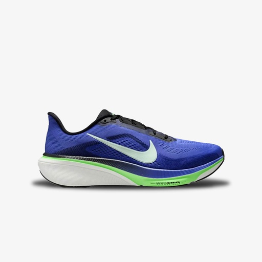 AIR ZOOM PEGASUS 42